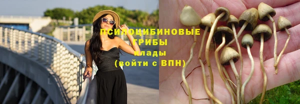 твердый Михайлов