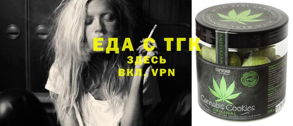 индика Михайловка