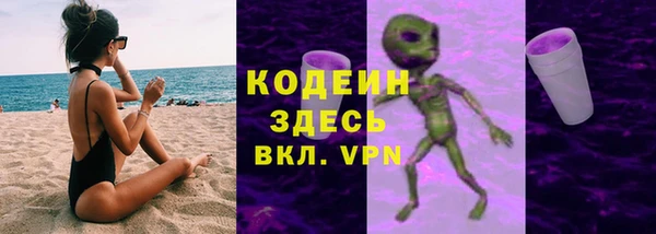 твердый Михайлов