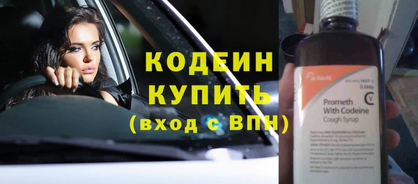 индика Михайловка