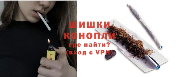 амф Ельня