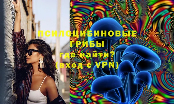прущая мука Дмитриев