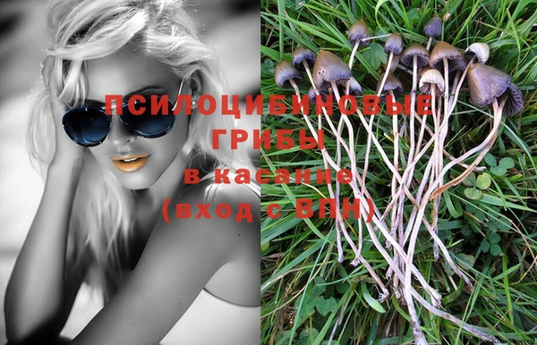 индика Михайловка