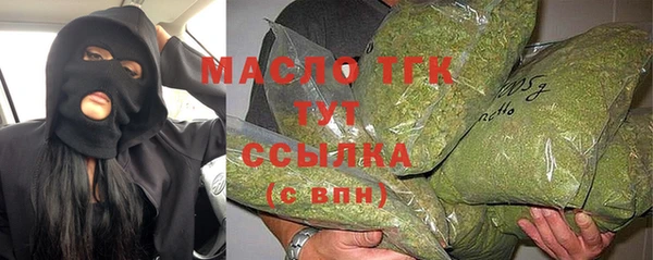 твердый Михайлов