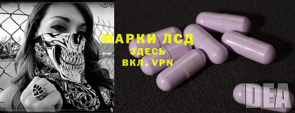амф Ельня
