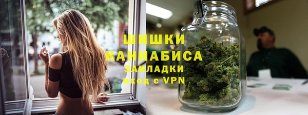 индика Михайловка